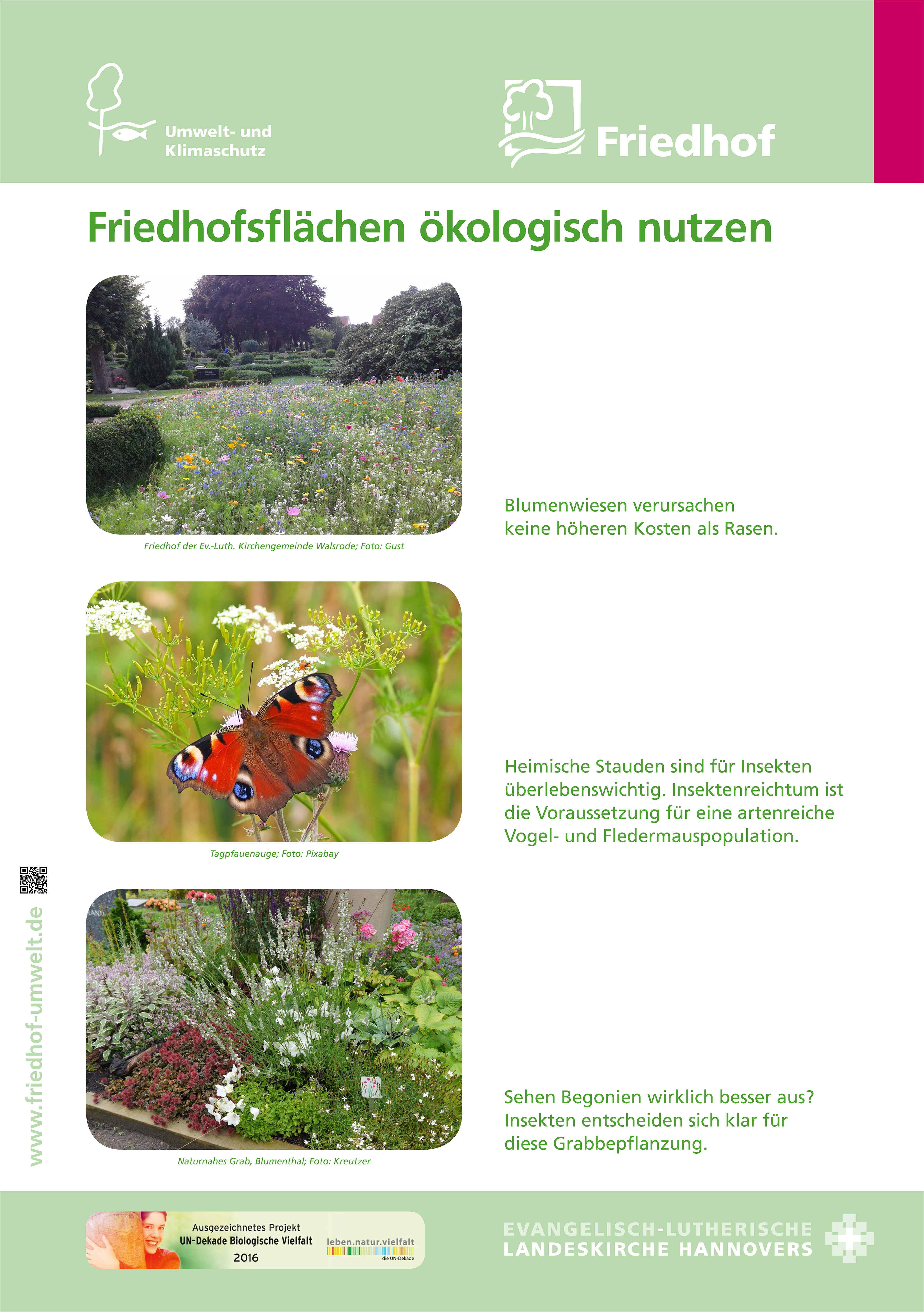 Verleih: Ausstellung „Biodiversität auf kirchlichen Friedhöfen“