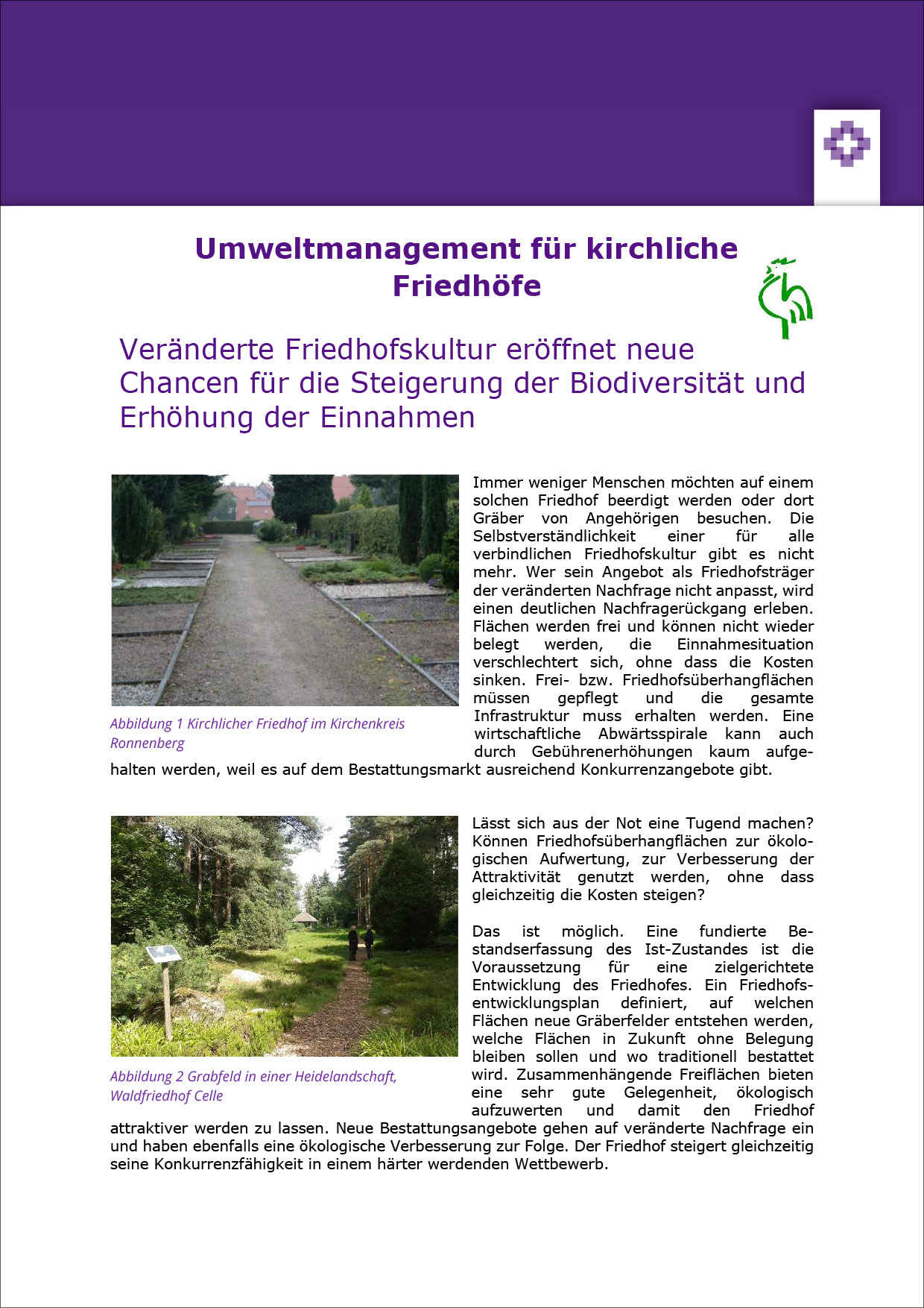 Informationsblatt Umweltmanagement für kirchliche Friedhöfe – PDF-Version