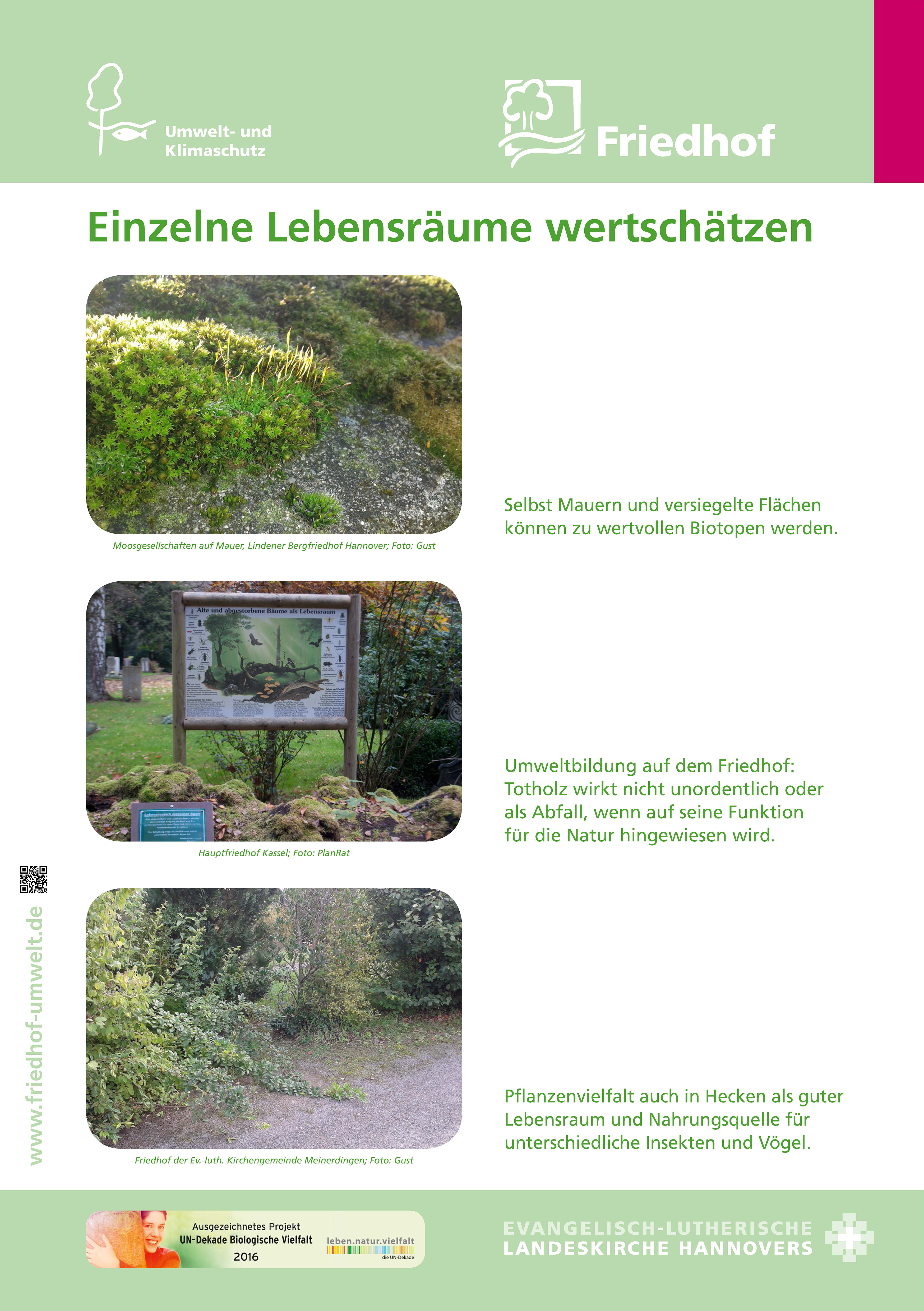 Verleih: Ausstellung „Biodiversität auf kirchlichen Friedhöfen“