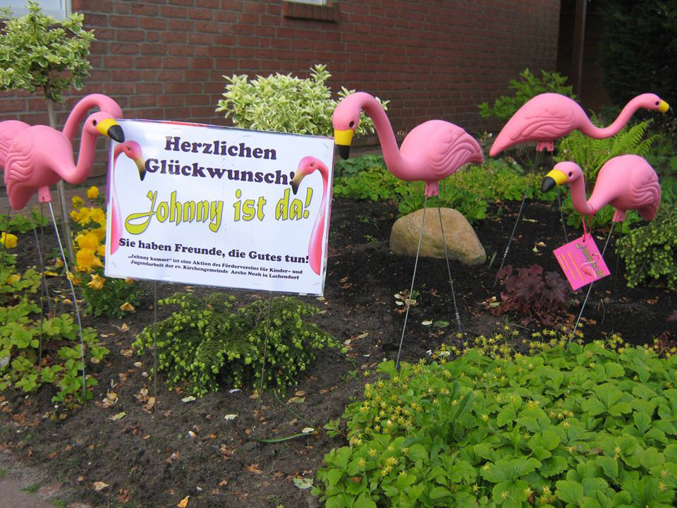 Verleih: Flamingo Flocking