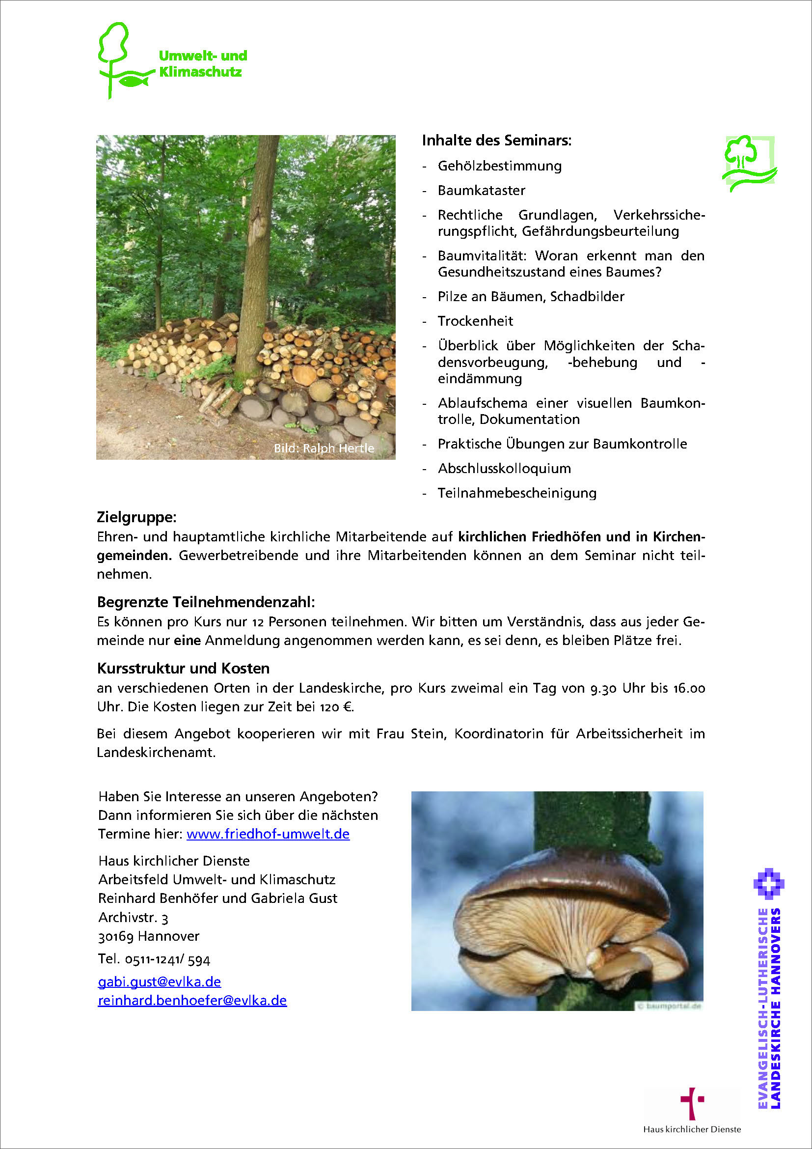 Informationsblatt Visuelle Baumkontrolle – PDF-Version