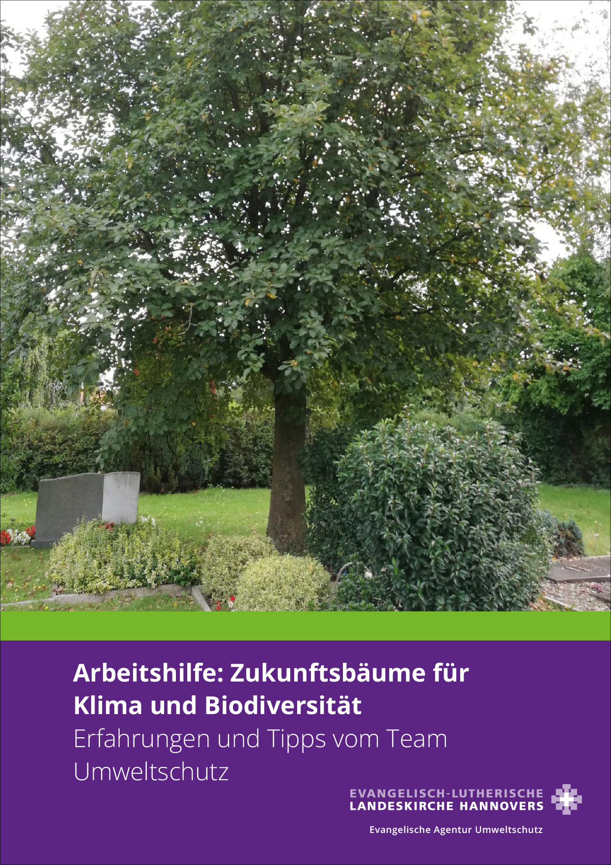 Arbeitshilfe: Zukunftsbäume für Klima und Biodiversität