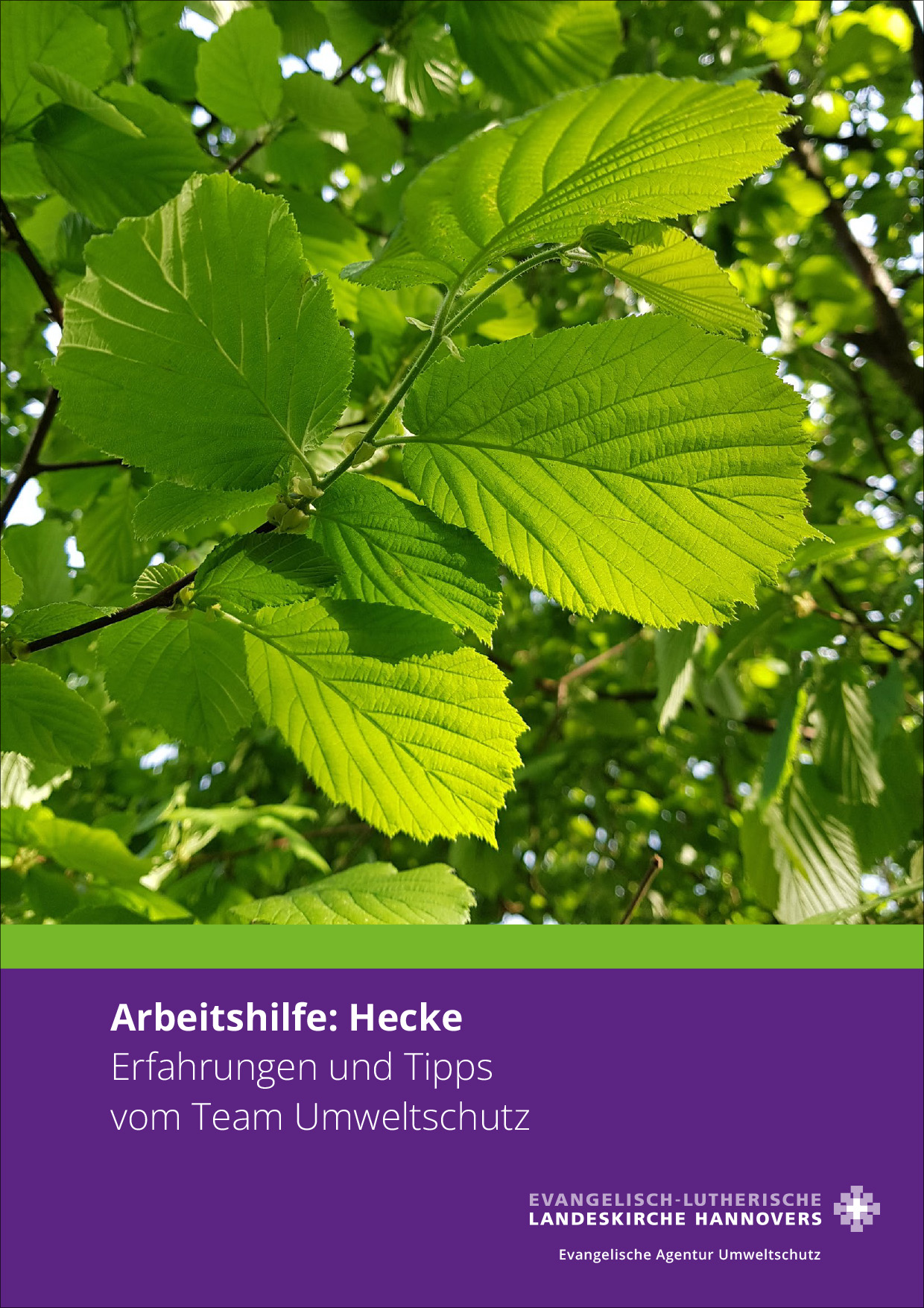 Arbeitshilfe: Hecke
