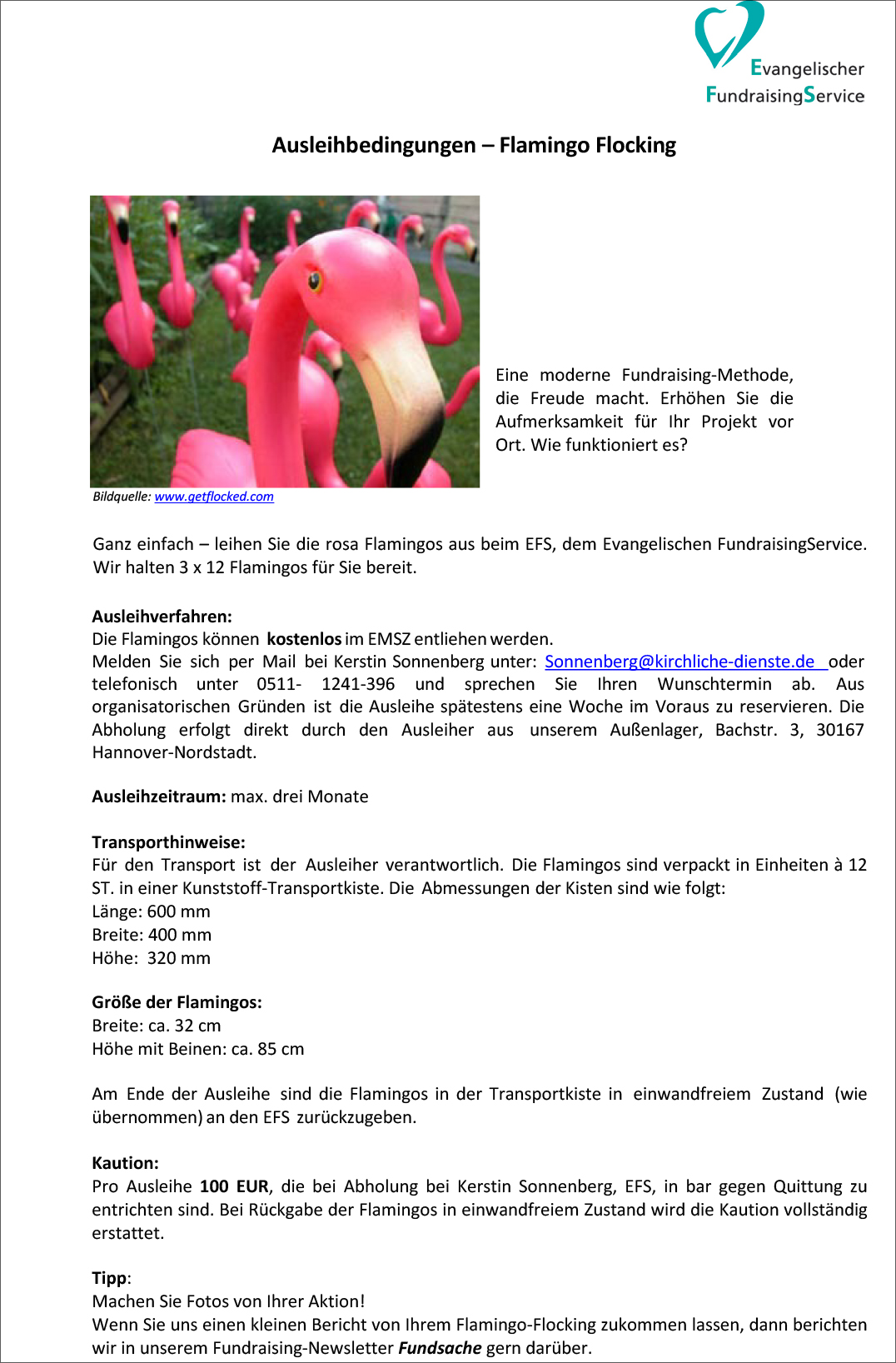 Verleih: Flamingo Flocking